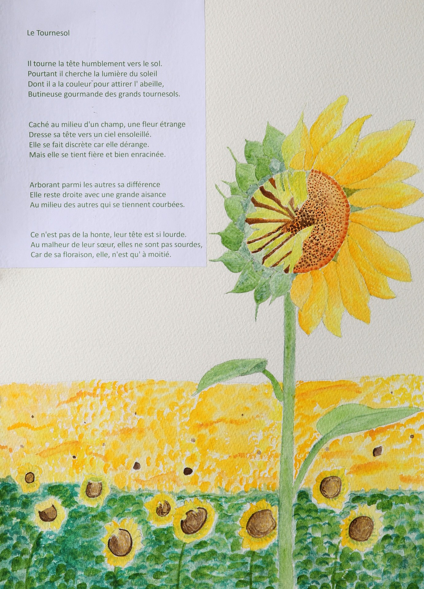 16 le tournesol 