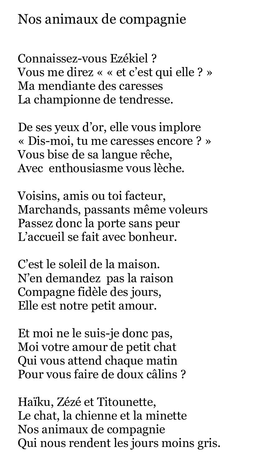 Nos animaux de compagnie