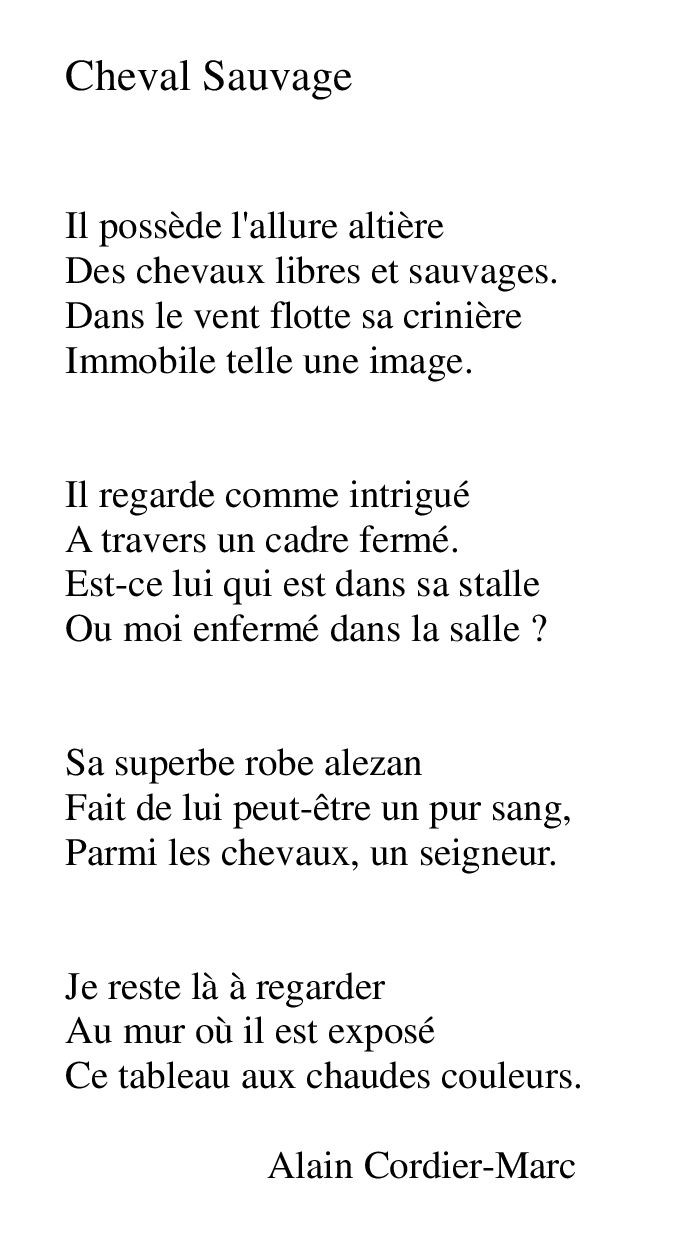 Cheval sauvage 