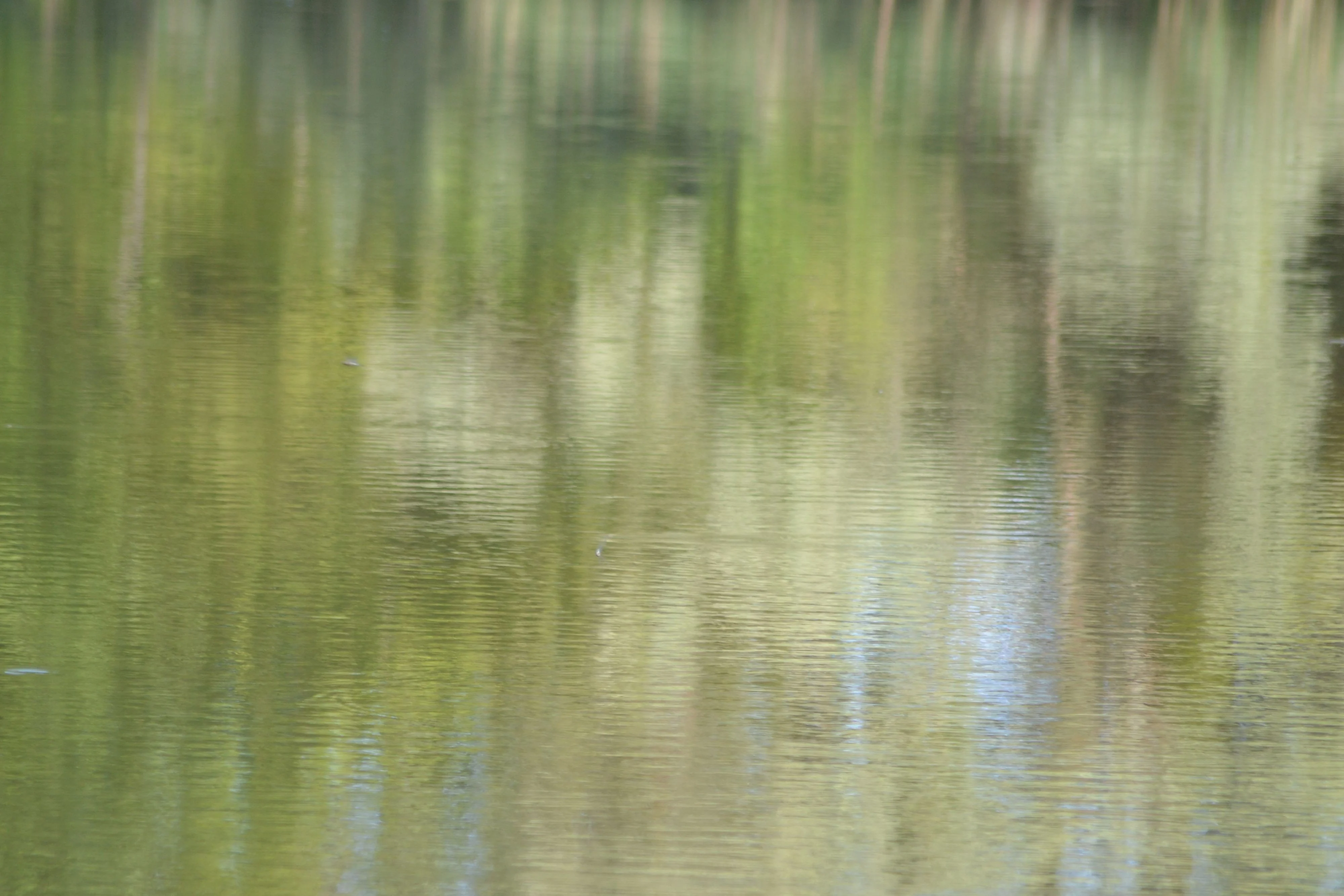 Reflets 2026