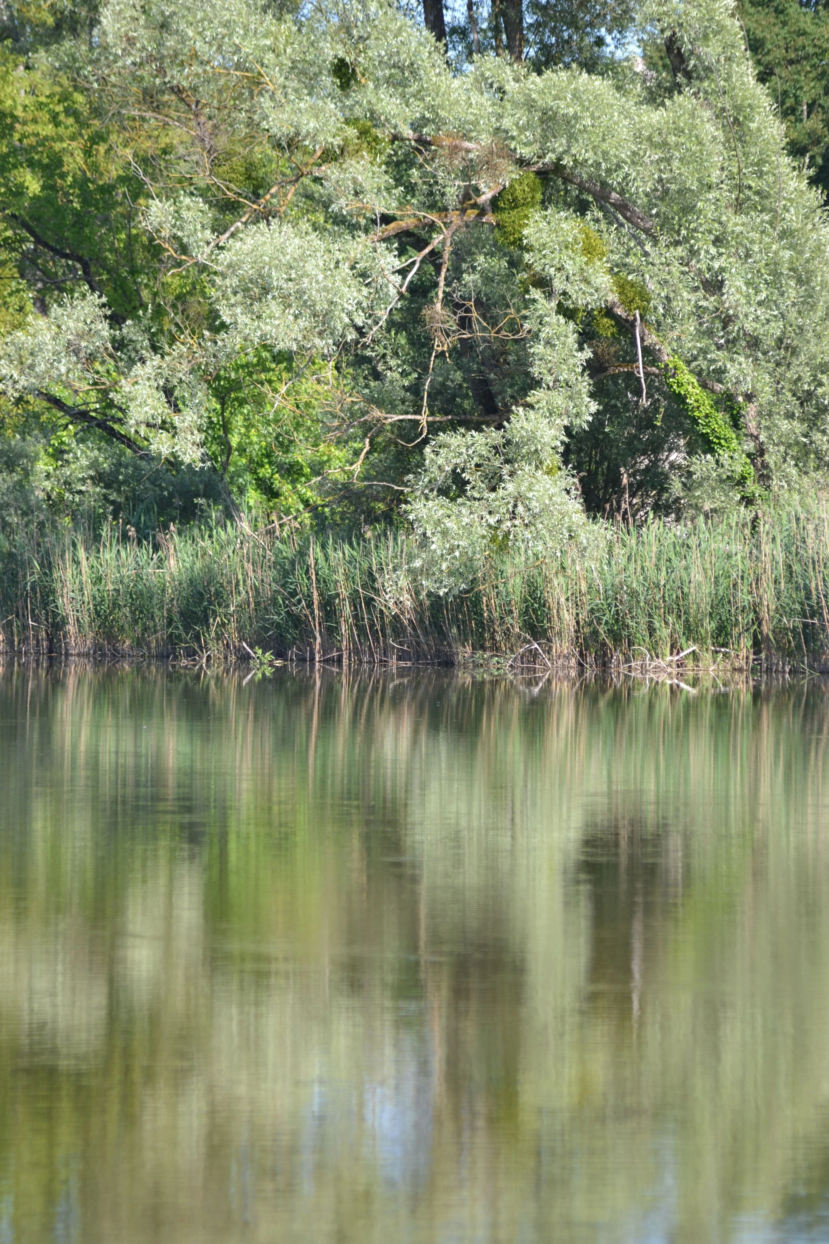 Reflets 2, 2026