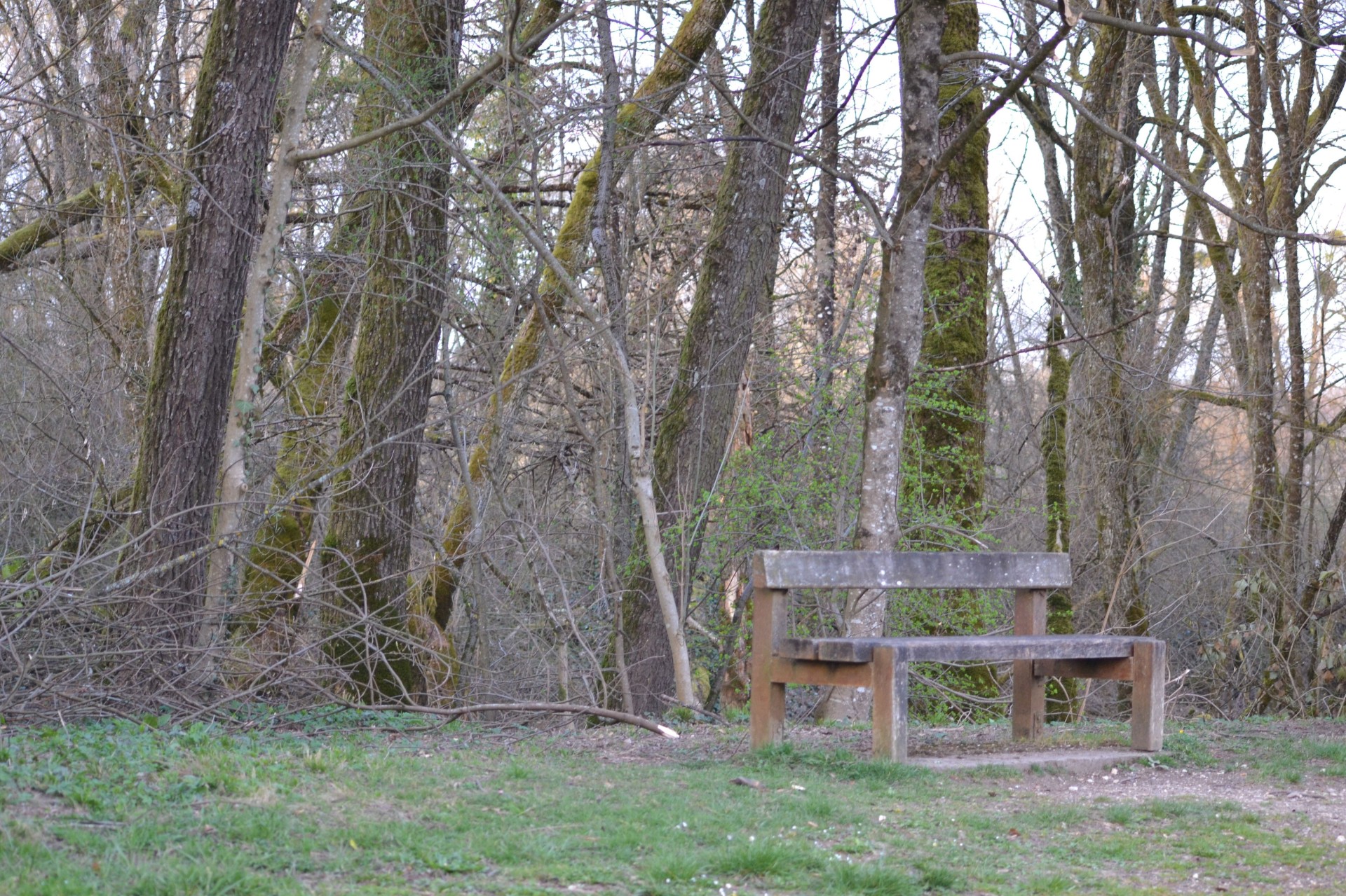Le banc