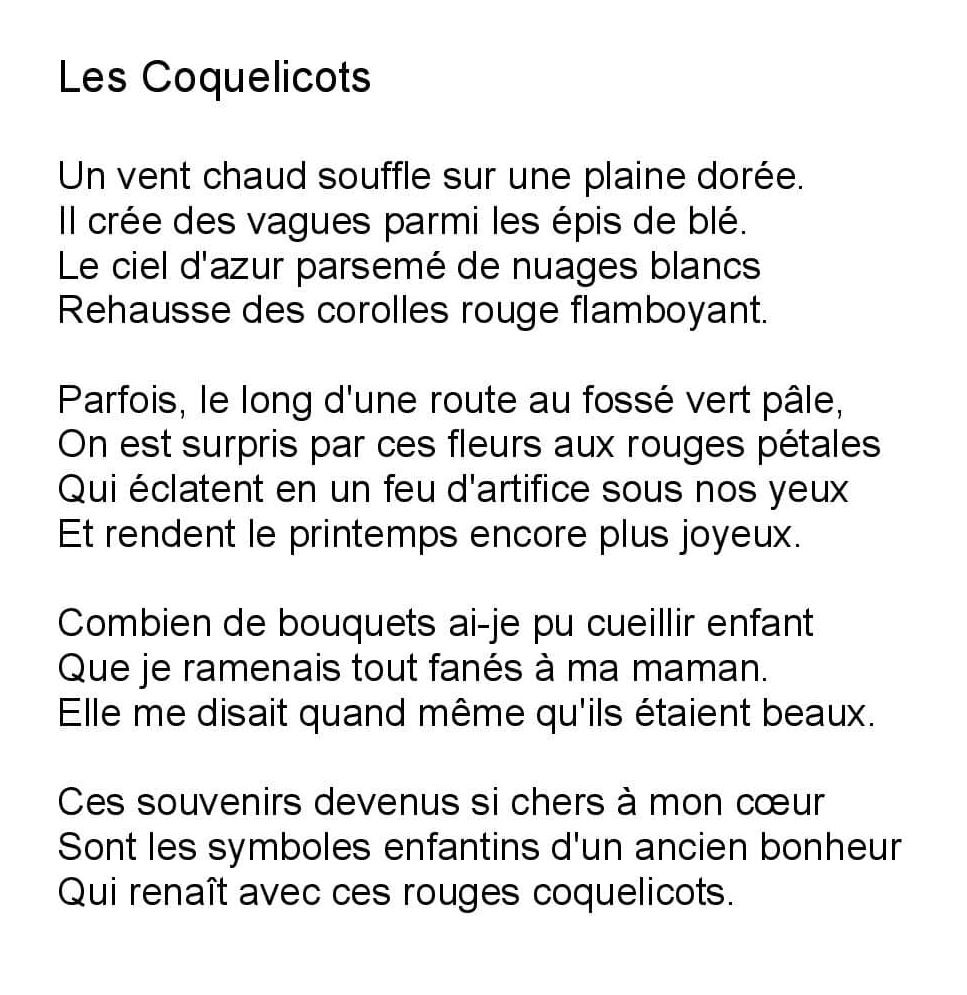Texte Les coquelicots 